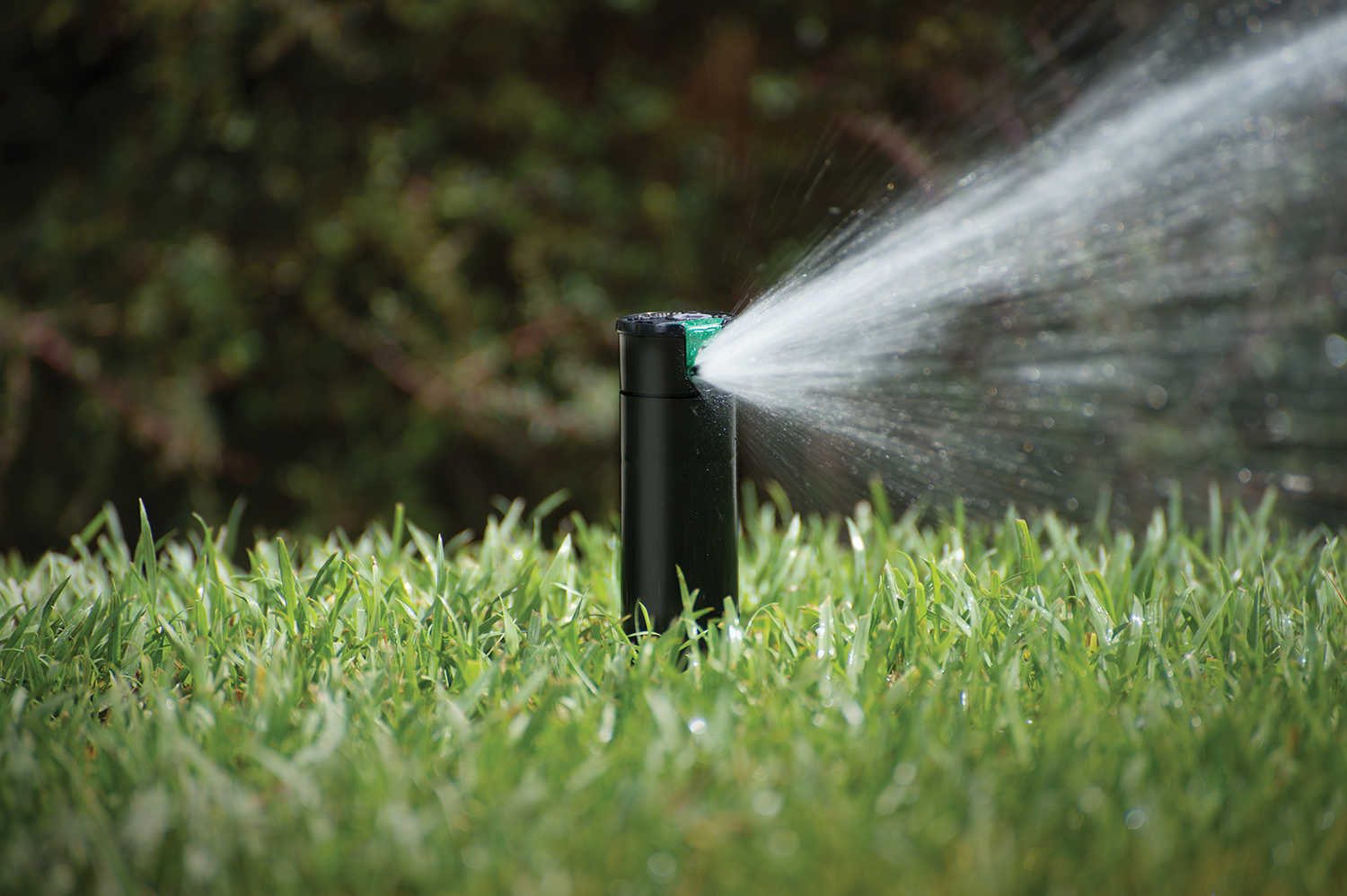 Лучшая система автополива для дачи сэкономит ваши деньги и время