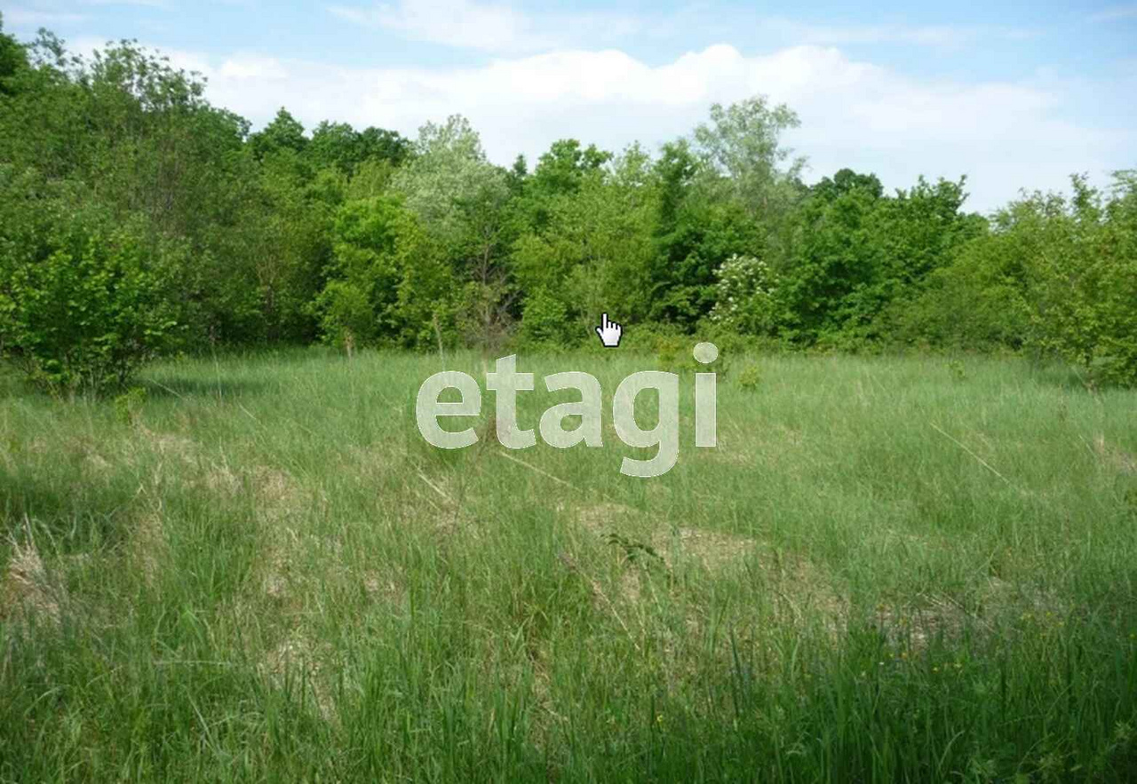 Заброшенный участок может стать вашей выгодной инвестицией