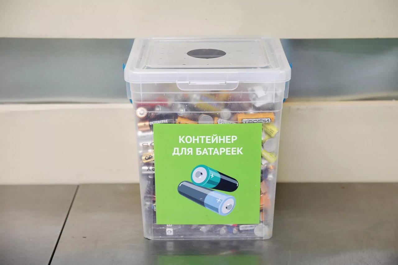 Выбрасываете батарейки в мусорку? Ваша квартира может подешеветь на 15%