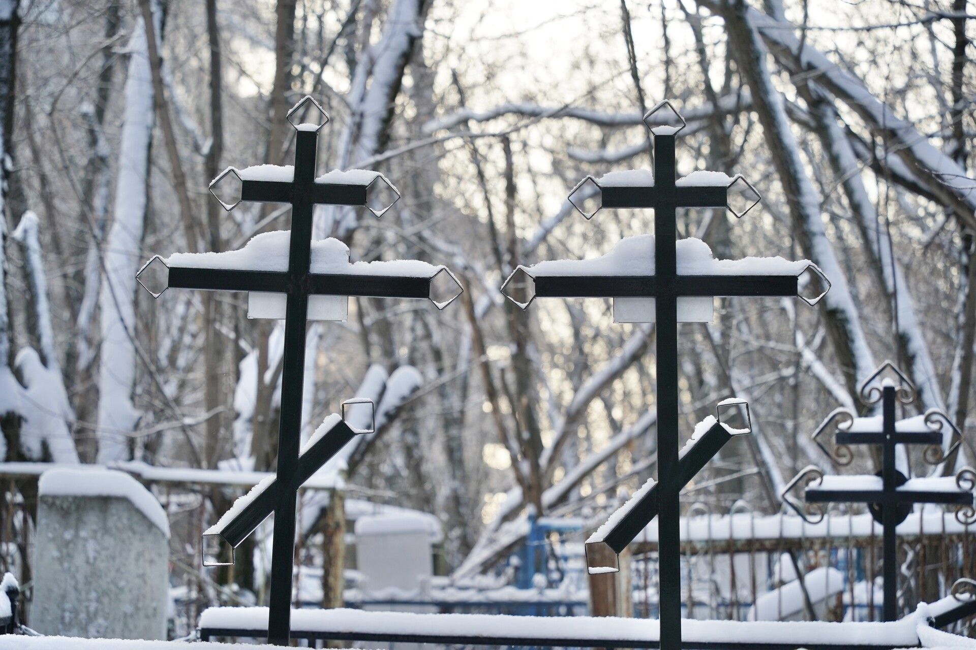 Что скрывают дома у старого кладбища и можно ли там жить по закону