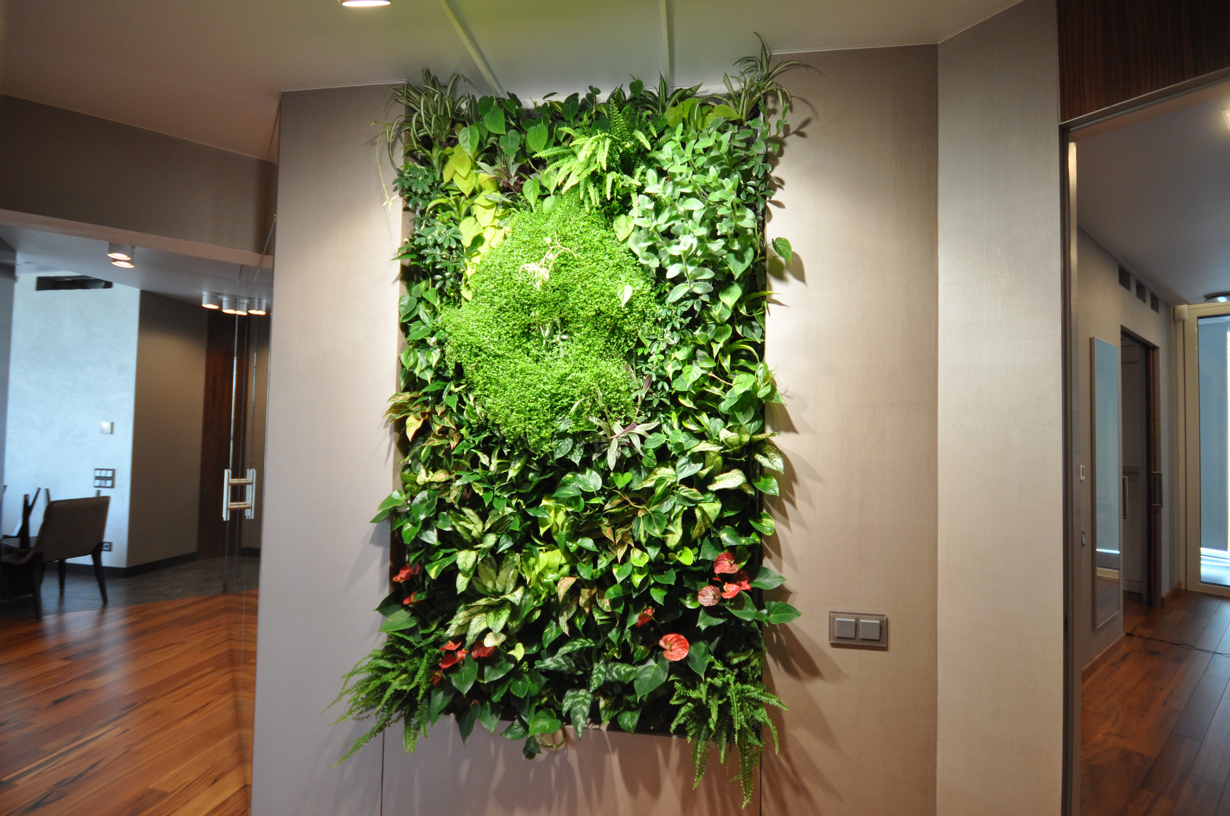 Как превратить подъезд в цветущий сад и поднять стоимость квартиры на 15%