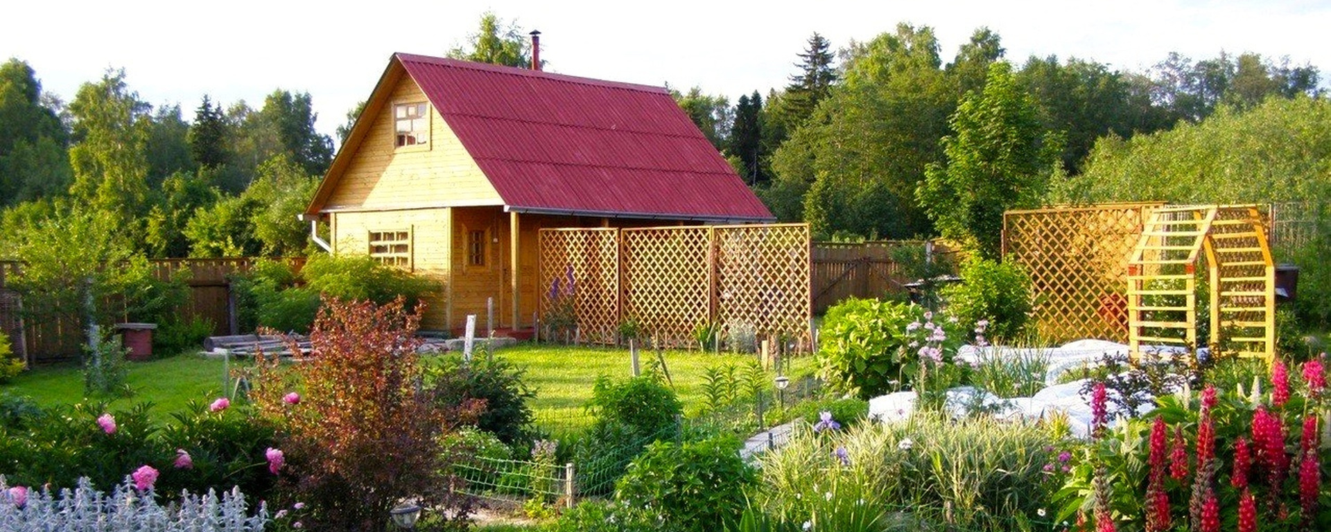 Дачная амнистия теперь включает бани и сараи — как этим воспользоваться