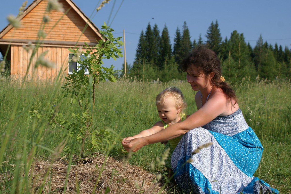 Как жизнь в дикой природе меняет подход к недвижимости