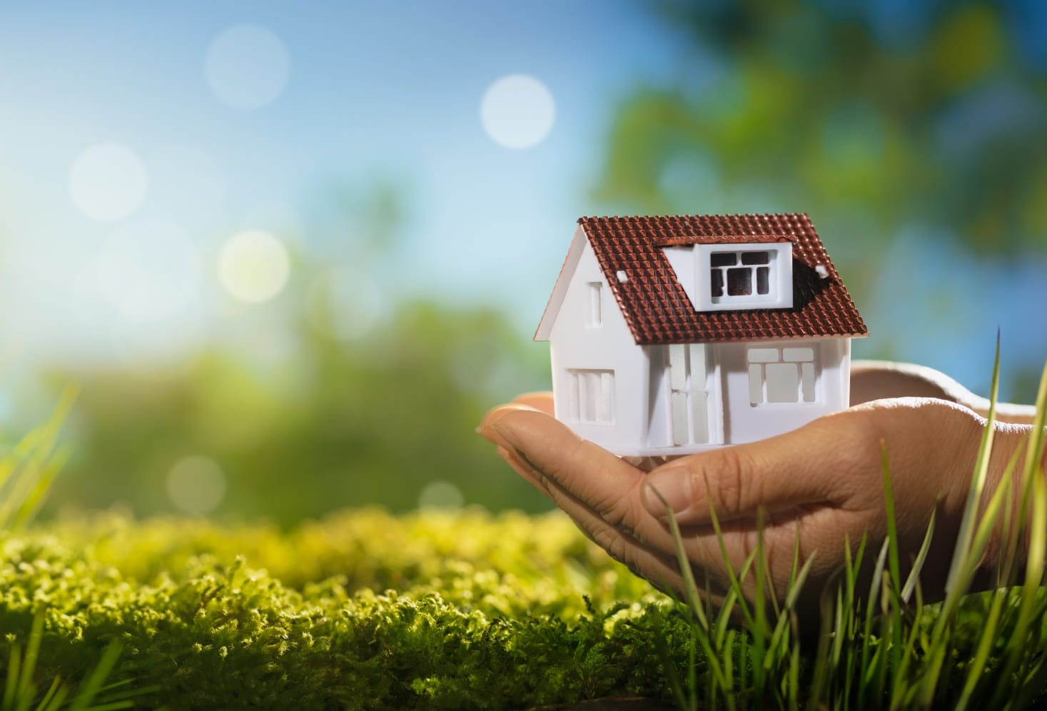 Всё про ИЖС — как получить участок под строительство дома мечты