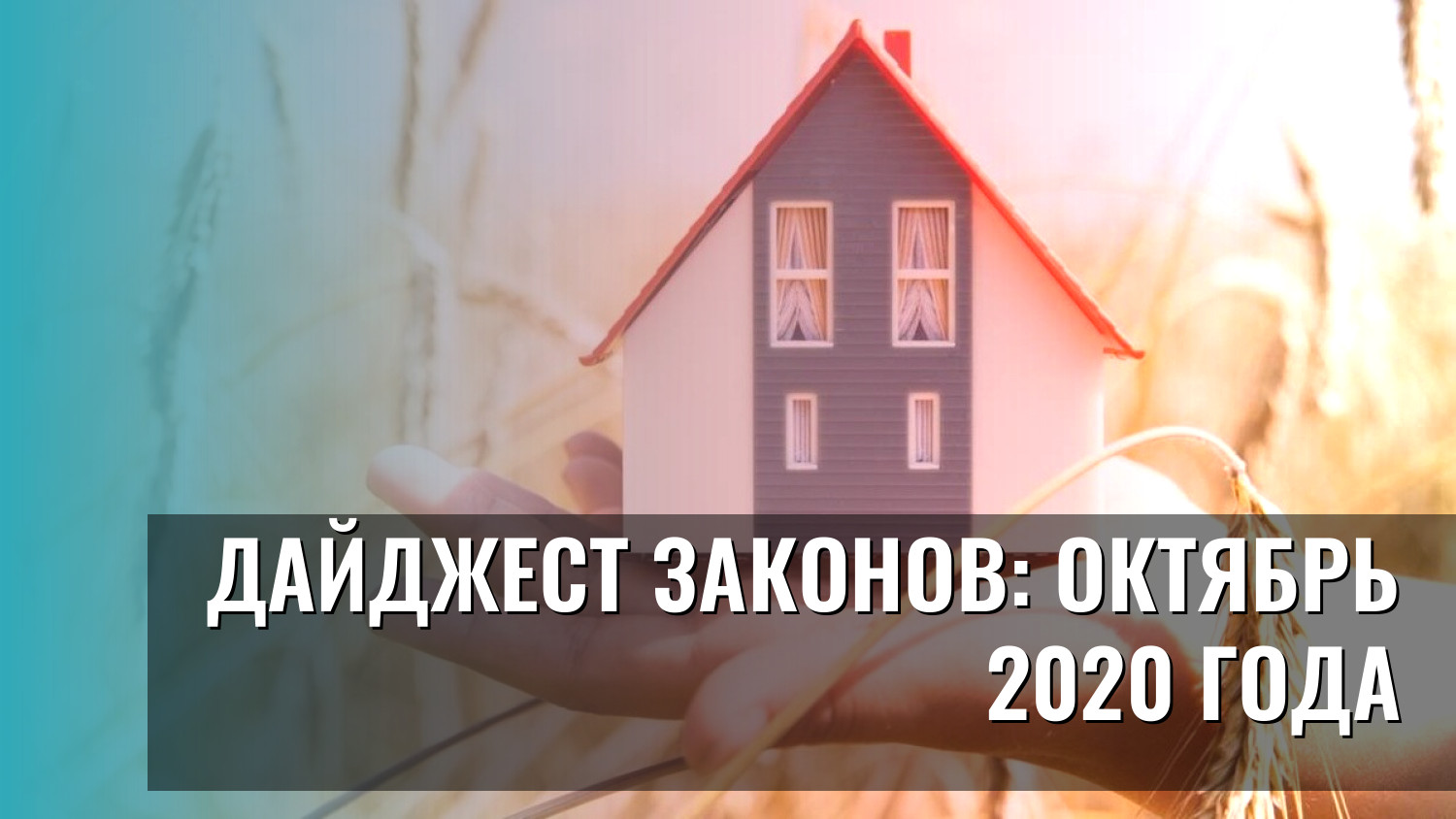 Дайджест законов: октябрь 2020 года