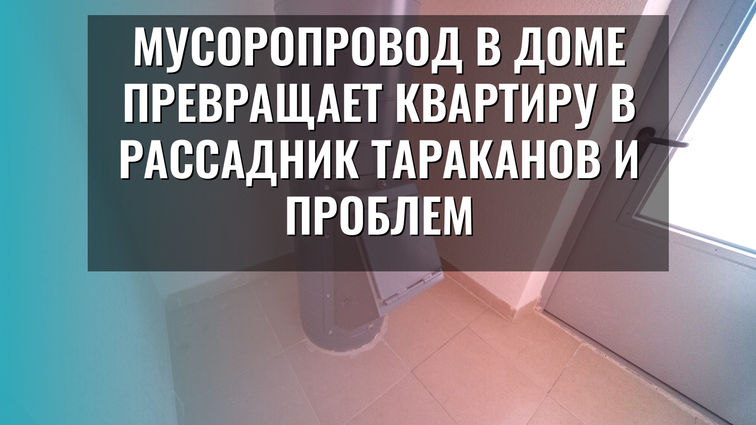 Мусоропровод в доме превращает квартиру в рассадник тараканов и проблем