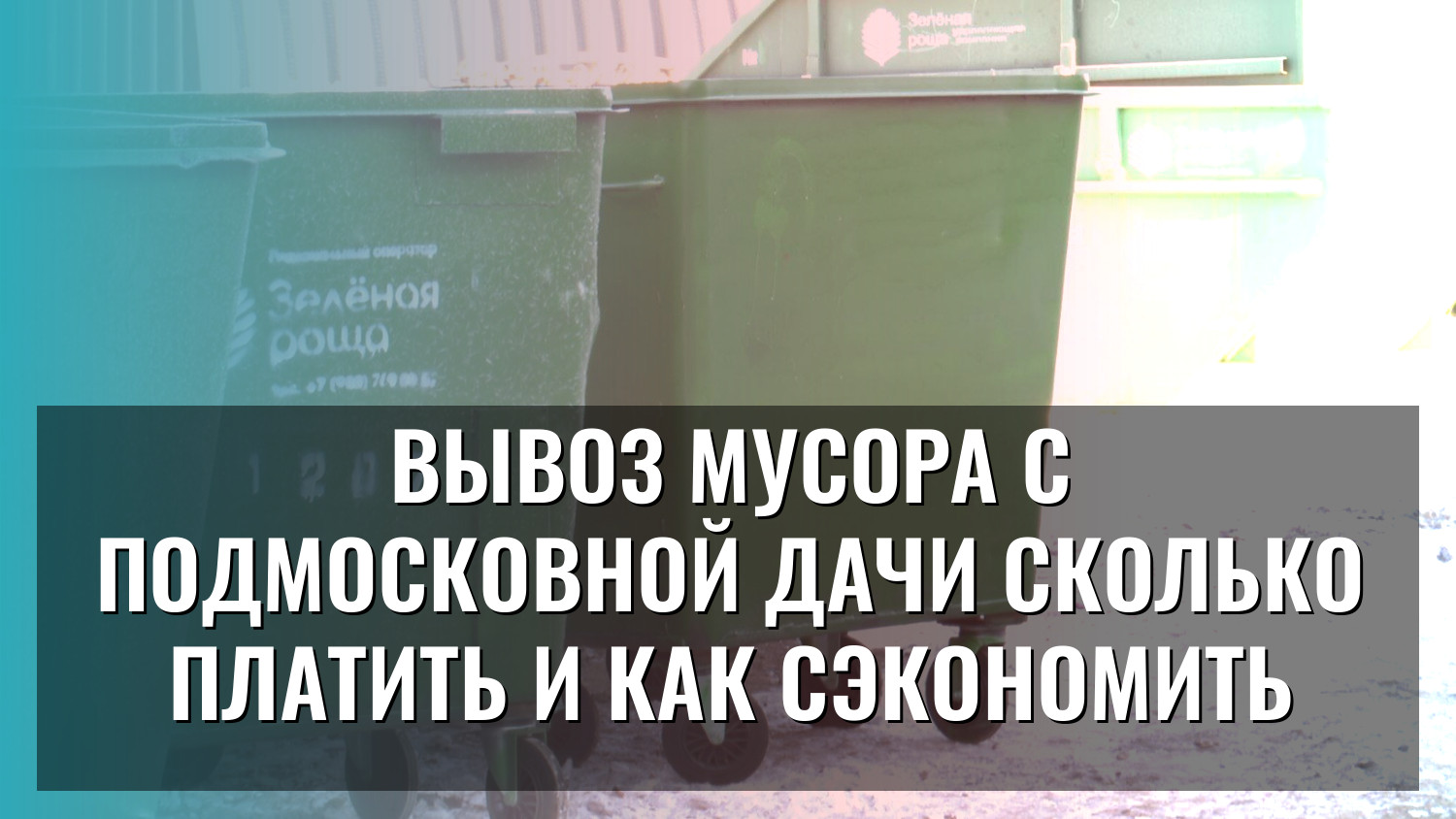 Вывоз мусора с подмосковной дачи сколько платить и как сэкономить