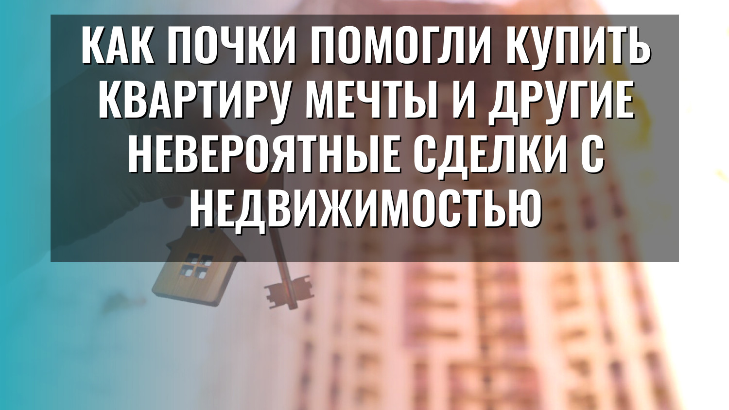 Как почки помогли купить квартиру мечты и другие невероятные сделки с недвижимостью