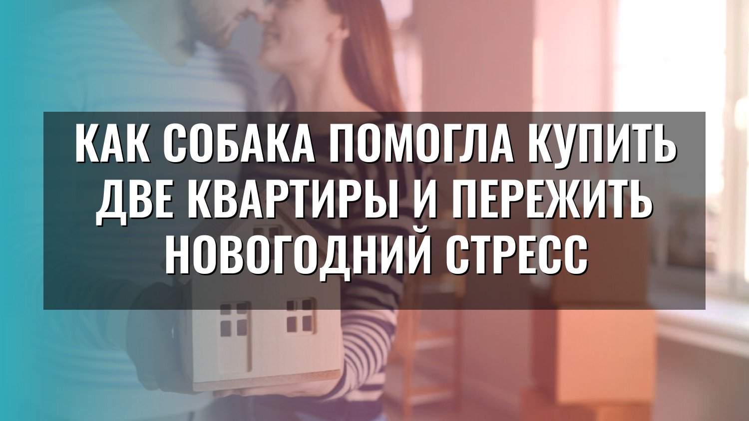 Как собака помогла купить две квартиры и пережить новогодний стресс