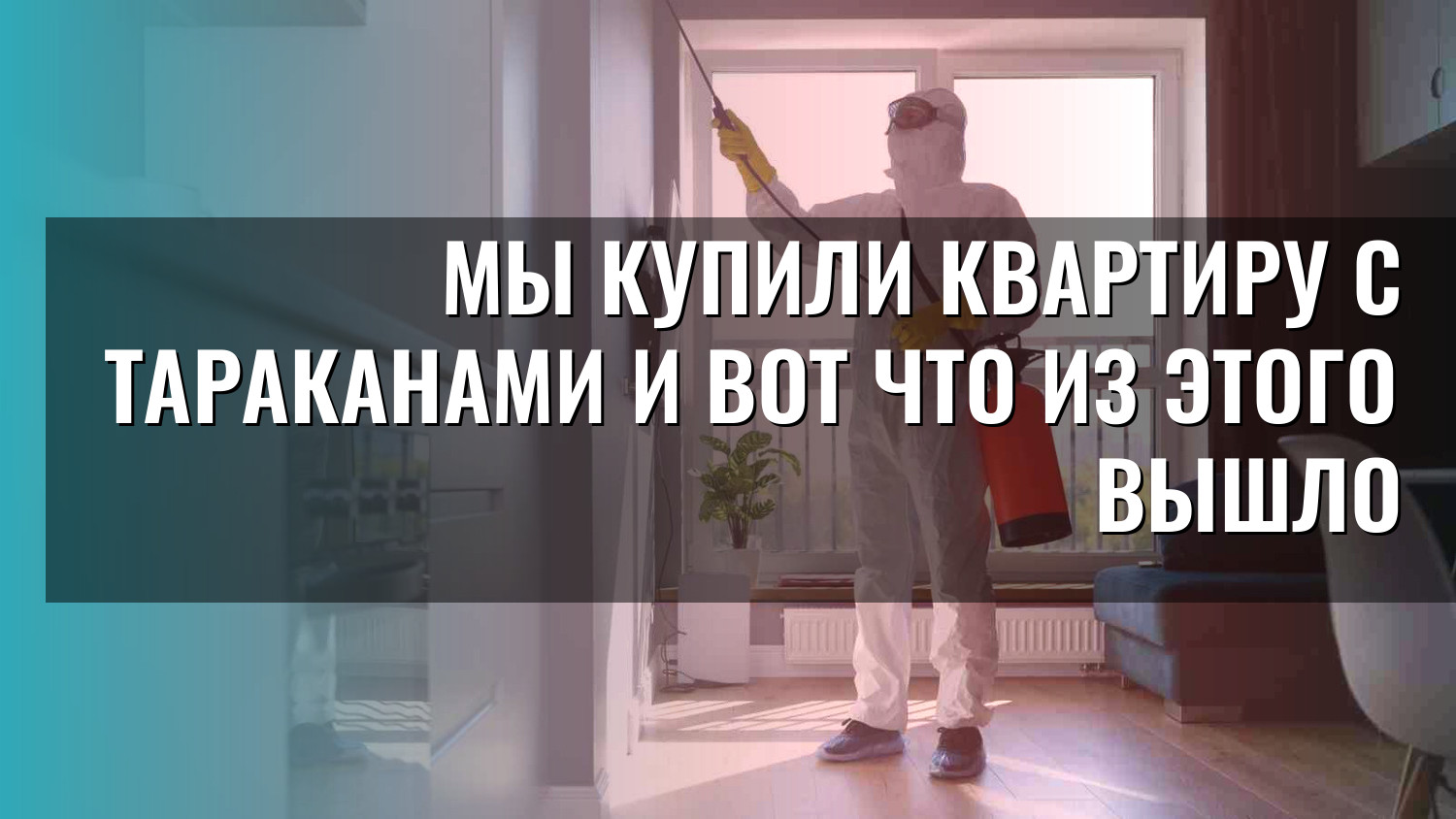 Мы купили квартиру с тараканами и вот что из этого вышло