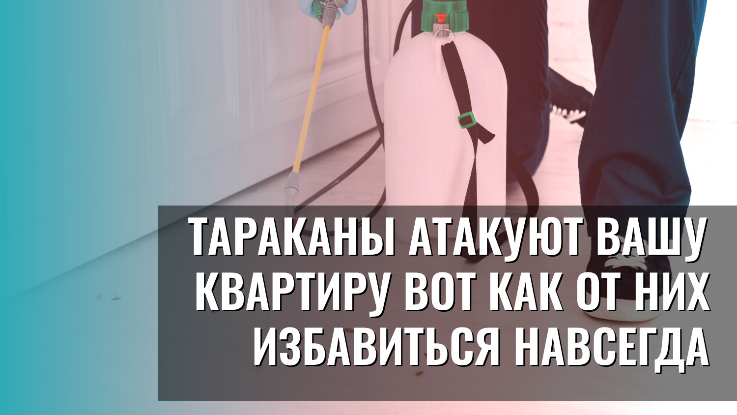 Тараканы атакуют вашу квартиру вот как от них избавиться навсегда