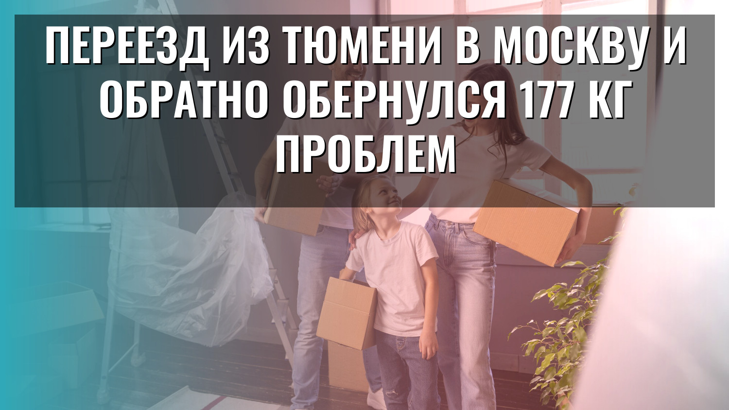 Переезд из Тюмени в Москву и обратно обернулся 177 кг проблем