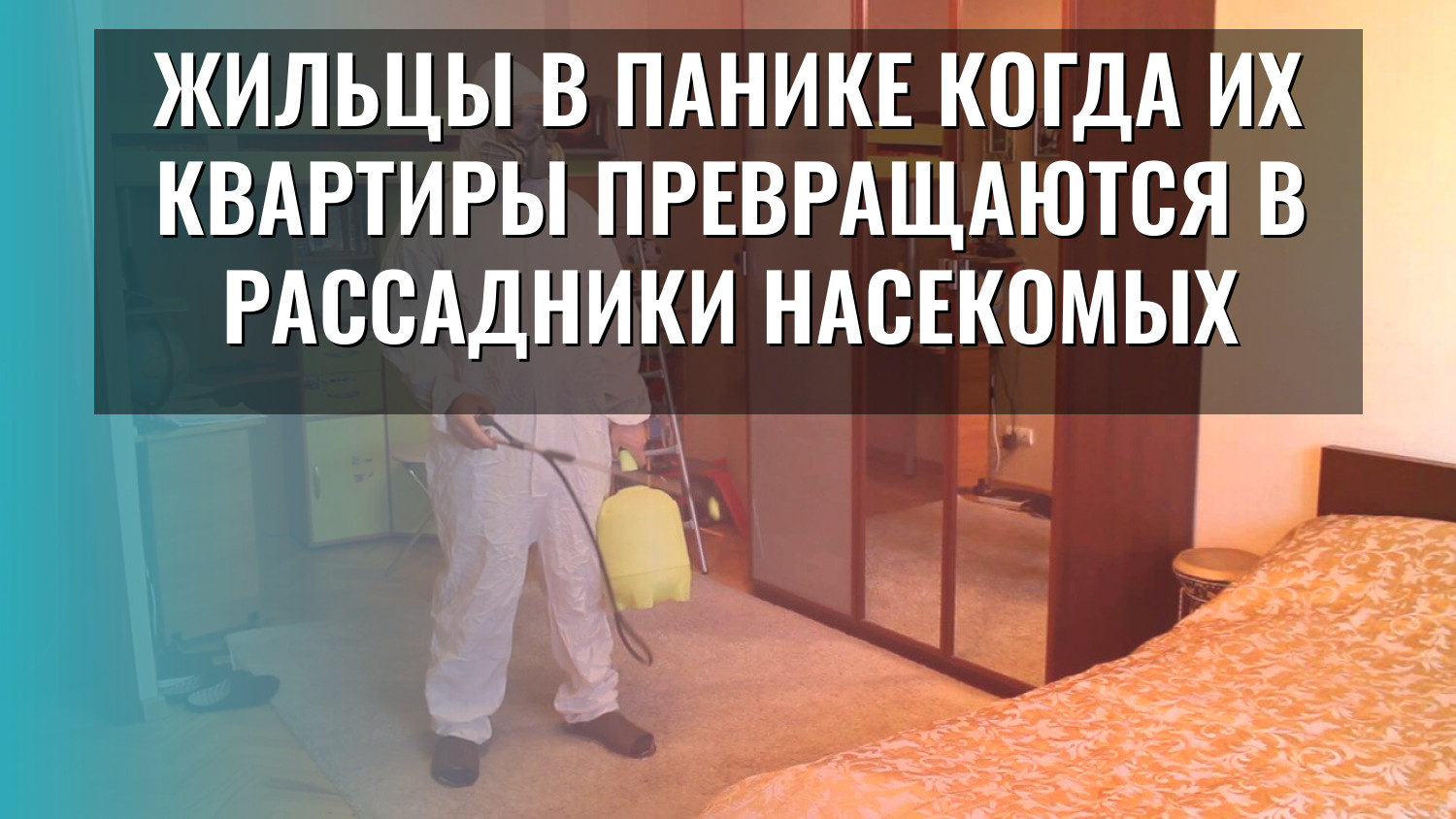 Жильцы в панике когда их квартиры превращаются в рассадники насекомых