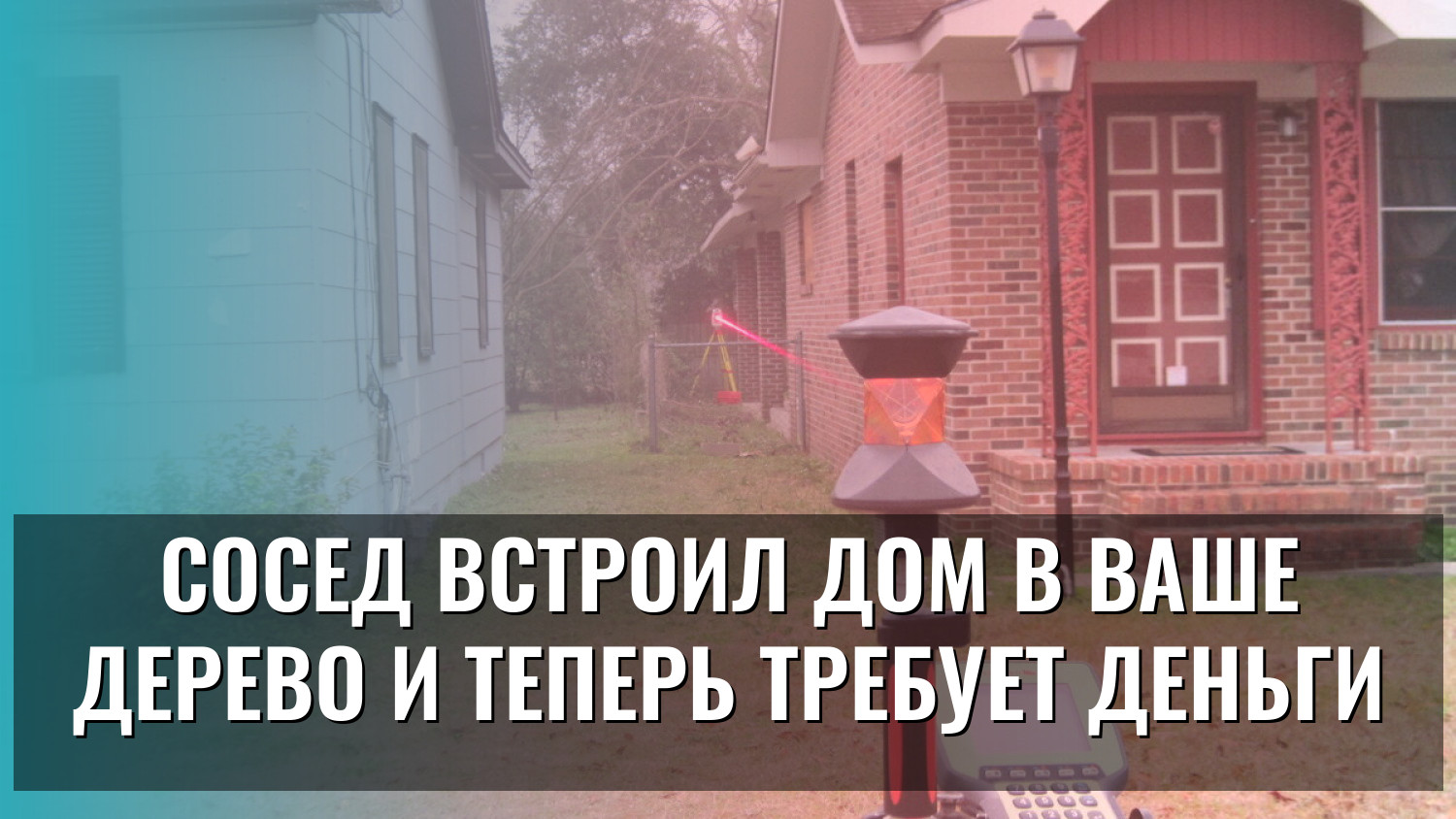 Сосед встроил дом в ваше дерево и теперь требует деньги