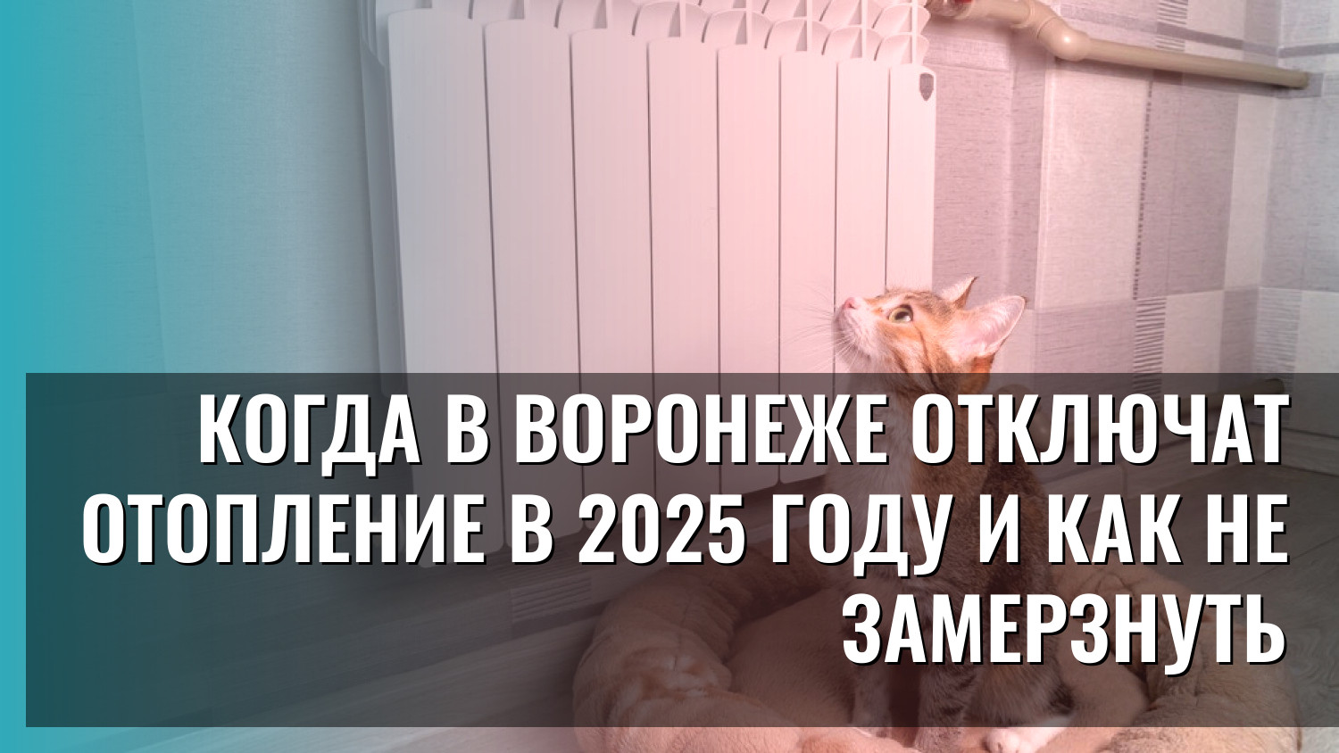 Когда в Воронеже отключат отопление в 2025 году и как не замерзнуть