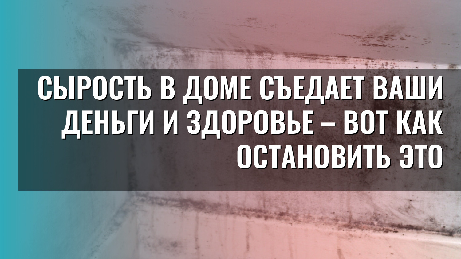 Сырость в доме съедает ваши деньги и здоровье – вот как остановить это