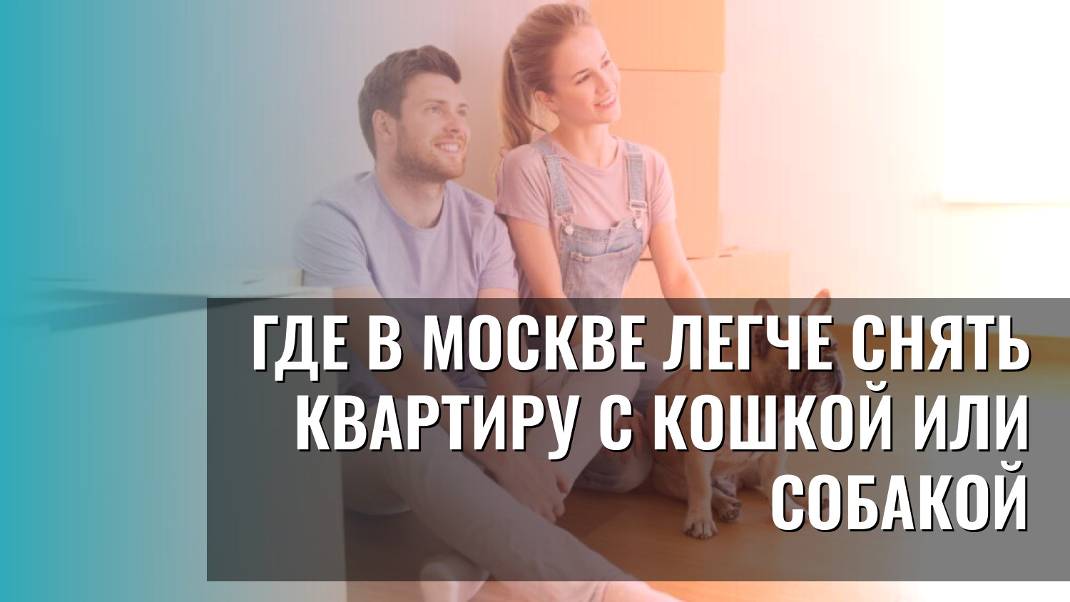 Где в Москве легче снять квартиру с кошкой или собакой