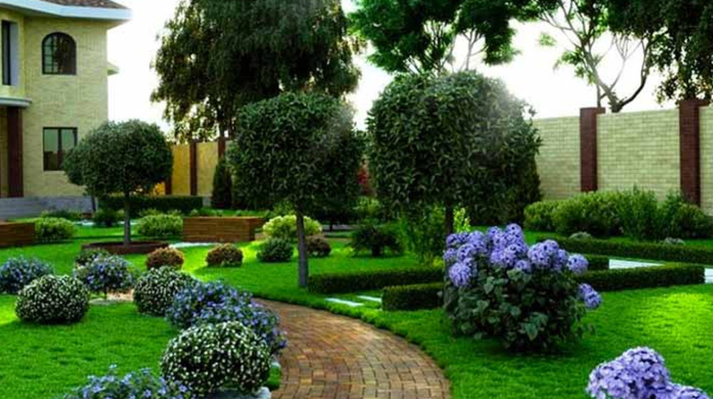 Россияне массово вкладываются в благоустройство участков – как это повлияет на стоимость недвижимости