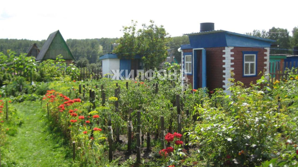 Сколько стоит содержать дачу в СНТ в 2025 году и как не разориться