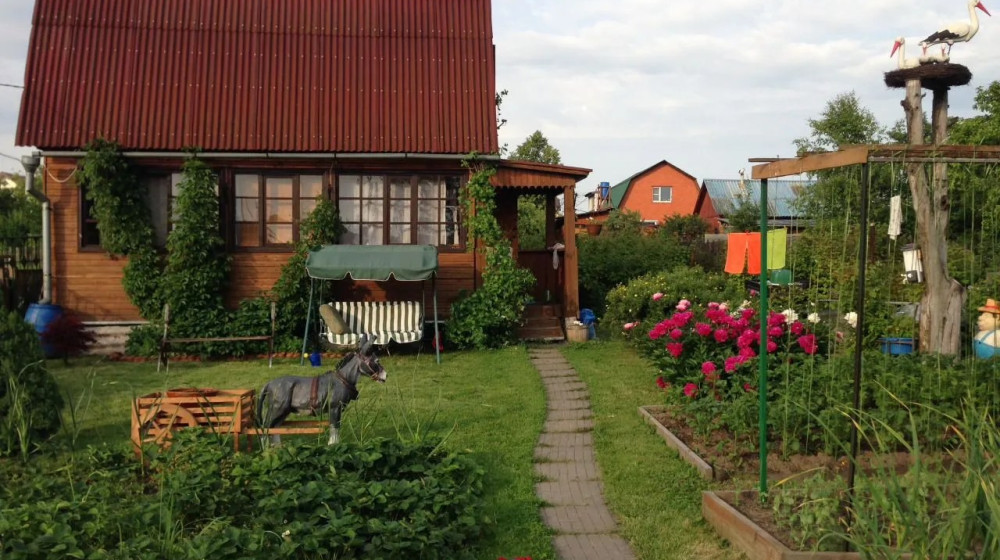 Почему эти дачи пустуют даже в разгар сезона