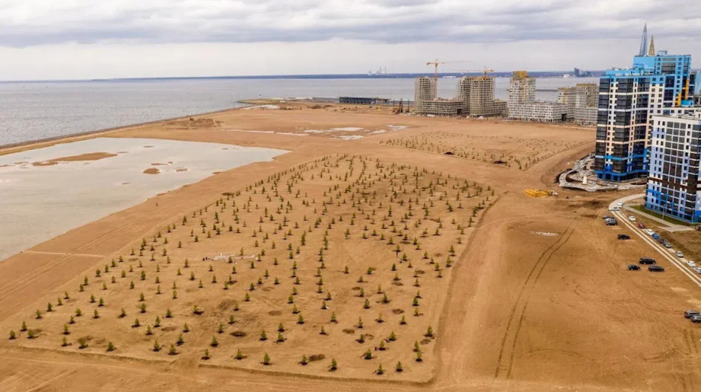 Петербургский намыв на Ваське — элитное гетто или песчаный ад для жильцов
